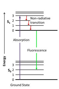 Diagram of Fluorescence Only (Jablonski)